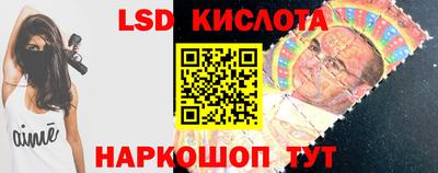 spice Новодвинск
