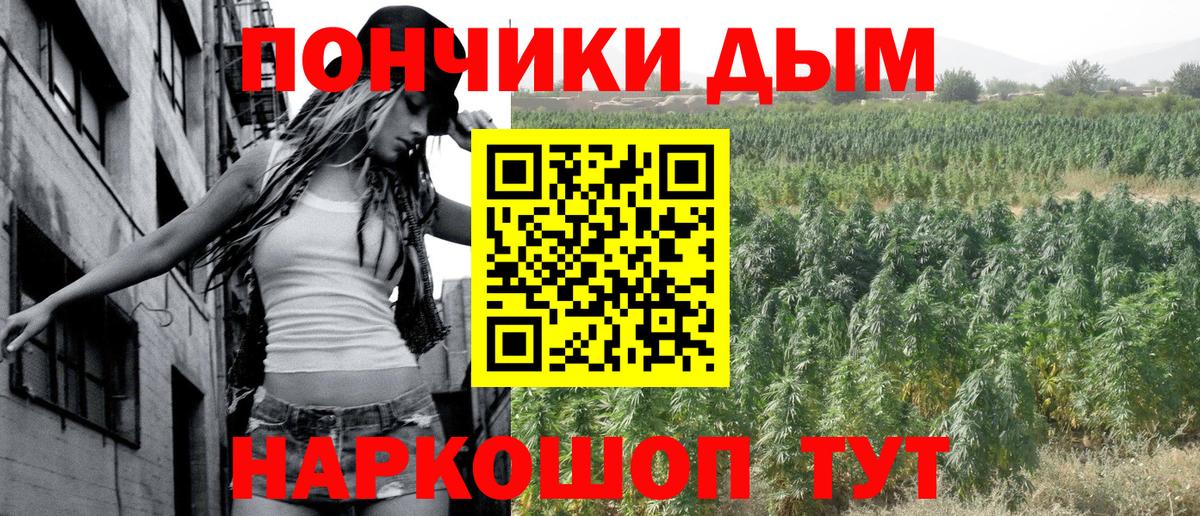 Шишки марихуана планчик  Вход с VPN  Бошки Шишки конопля  Канабис Bruce Banner  Губкинский 